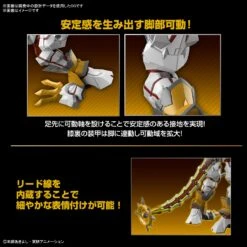 BANDAI Figure-rise Standard Amplified ShineGreymon (Digimon) -Modèles Figurines Boutique bans65324 7