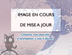 BANDAI ONE PIECE MAQUETTE RED FORCE 30CM -Modèles Figurines Boutique no image 1