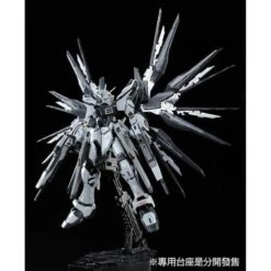 BANDAI RG 1/144 Strike Freedom Gundam Deactive Mode -Modèles Figurines Boutique pb rg strike freedom deactive mode 5 660x809 1